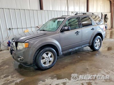 2010 FORD ESCAPE XLT 1FMCU9D7XAKC91055 - główne zdjęcie licytacji z USA - miniatura