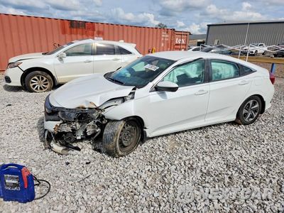 2019 HONDA CIVIC LX 2HGFC2F68KH560857 - główne zdjęcie licytacji z USA - miniatura
