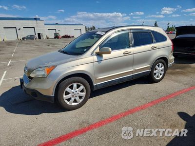 2008 HONDA CR-V EXL JHLRE48798C021105 - główne zdjęcie licytacji z USA - miniatura