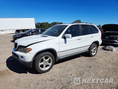 2006 BMW X5 3.0I 5UXFA135X6LY34206 - główne zdjęcie licytacji z USA - miniatura