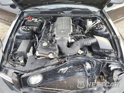 Zdjęcie 11 z 12 samochodu: 2009 FORD MUSTANG GT VIN:1ZVHT85H795146237 - miniatura