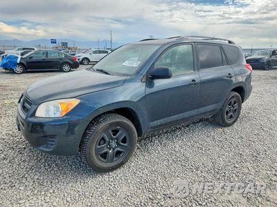 2012 TOYOTA RAV4 BASE 2T3BF4DV4CW227955 - główne zdjęcie licytacji z USA - miniatura