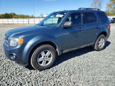 2010 FORD ESCAPE XLT 1FMCU0DG5AKC24259 - główne zdjęcie licytacji z USA - miniatura