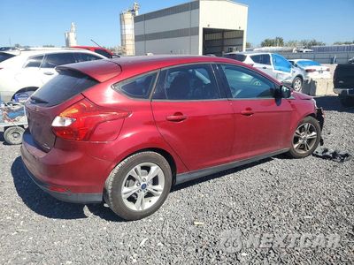 Trzecie zdjęcie samochodu z tyłu: 2013 FORD FOCUS SE VIN:1FADP3K26DL301492 - miniatura