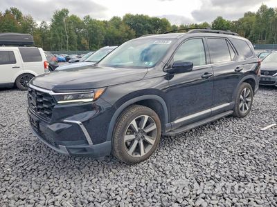 2024 HONDA PILOT ELITE 5FNYG1H86RB026485 - główne zdjęcie licytacji z USA - miniatura