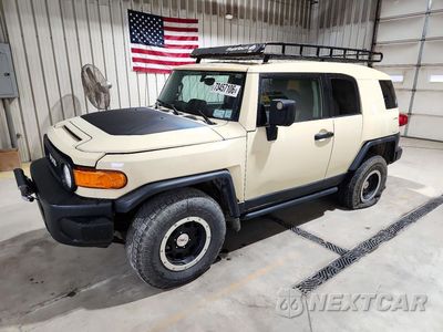 2010 TOYOTA FJ CRUISER BASE JTEBU4BF0AK077975 - główne zdjęcie licytacji z USA - miniatura