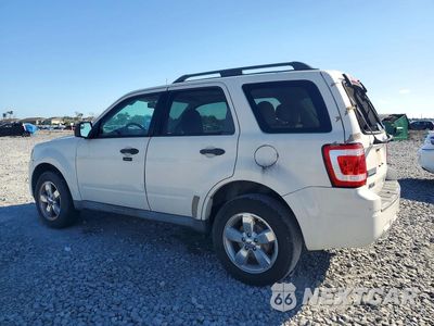 Drugie zdjęcie samochodu z przodu: 2011 FORD ESCAPE XLT VIN:1FMCU0D78BKA04342 - miniatura