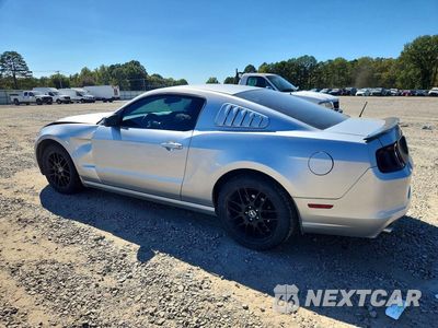 Drugie zdjęcie samochodu z przodu: 2014 FORD MUSTANG VIN:1ZVBP8AM9E5254169 - miniatura