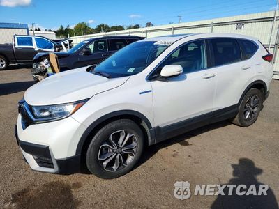 2022 HONDA CR-V EXL 5J6RT6H8XNL028951 - główne zdjęcie licytacji z USA - miniatura