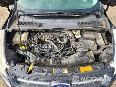 Zdjęcie 12 z 13 samochodu: 2014 FORD ESCAPE SE VIN:1FMCU9GX9EUB52878 - miniatura