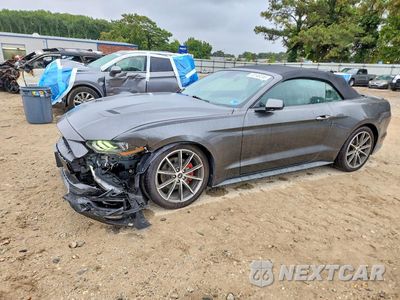 2019 FORD MUSTANG 1FATP8UH0K5162147 - główne zdjęcie licytacji z USA - miniatura