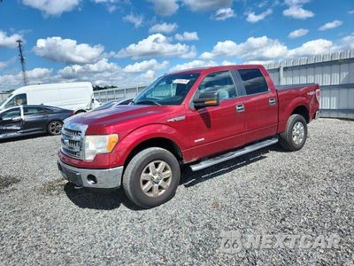 2013 FORD F150 SUPERCREW 1FTFW1ET4DFA97398 - główne zdjęcie licytacji z USA - miniatura