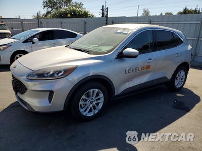 2020 FORD ESCAPE SE 1FMCU0G64LUB44123 - główne zdjęcie licytacji z USA - miniatura