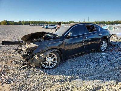 2009 NISSAN MAXIMA 3.5 S 1N4AA51E59C813487 - główne zdjęcie licytacji z USA - miniatura