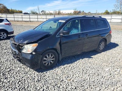 2010 HONDA ODYSSEY EXL 5FNRL3H6XAB054899 - główne zdjęcie licytacji z USA - miniatura