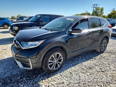2022 HONDA CR-V EX 2HKRW2H53NH634575 - główne zdjęcie licytacji z USA - miniatura