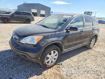 2007 HONDA CR-V EXL JHLRE487X7C086740 - główne zdjęcie licytacji z USA - miniatura