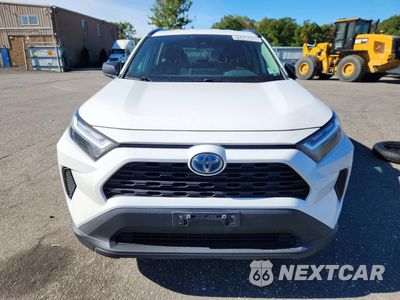 Piąte zdjęcie samochodu w środku: 2024 TOYOTA RAV4 LE VIN:2T3LWRFV9RW212116 - miniatura
