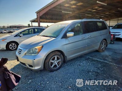2009 HONDA ODYSSEY EXL 5FNRL38759B018610 - główne zdjęcie licytacji z USA - miniatura