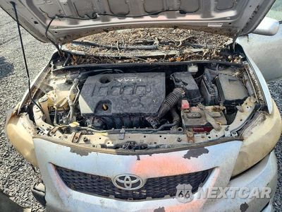 Zdjęcie 11 z 12 samochodu: 2010 TOYOTA COROLLA LE VIN:1NXBU4EE0AZ343650 - miniatura
