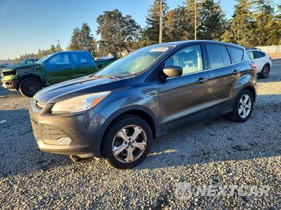 2016 FORD ESCAPE SE 1FMCU9G99GUC14137 - główne zdjęcie licytacji z USA - miniatura