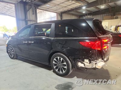Drugie zdjęcie samochodu z przodu: 2024 HONDA ODYSSEY EXL VIN:5FNRL6H63RB034751 - miniatura