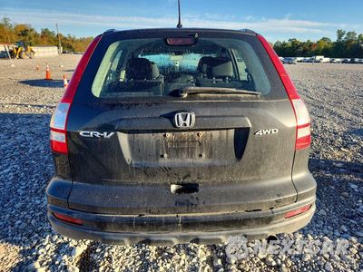 Zdjęcie 6 z 14 samochodu: 2011 HONDA CR-V LX VIN:5J6RE4H30BL041335 - miniatura