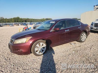 2008 HONDA ACCORD EXL 1HGCP36898A048403 - główne zdjęcie licytacji z USA - miniatura