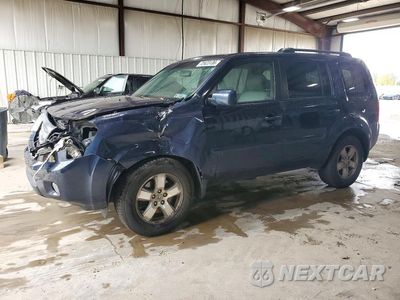 2011 HONDA PILOT EXL 5FNYF4H58BB042431 - główne zdjęcie licytacji z USA - miniatura