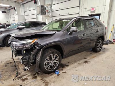 2023 TOYOTA RAV4 XLE PREMIUM JTMB6RFV0PD108863 - główne zdjęcie licytacji z USA - miniatura