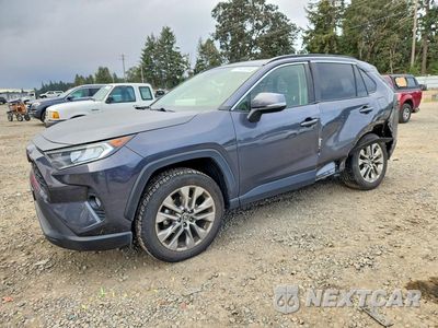 2019 TOYOTA RAV4 XLE PREMIUM JTMA1RFV9KD504549 - główne zdjęcie licytacji z USA - miniatura