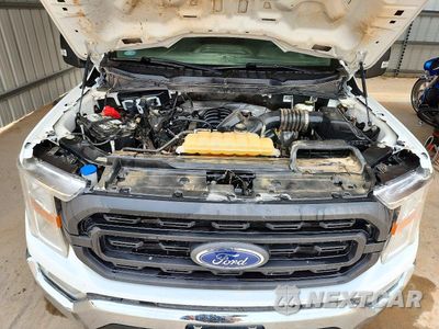 Zdjęcie 11 z 12 samochodu: 2022 FORD F150 SUPER CAB VIN:1FTFX1E51NKE64653 - miniatura