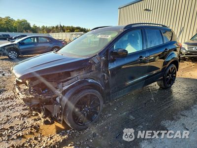 2019 FORD ESCAPE SE 1FMCU9GD6KUA25829 - główne zdjęcie licytacji z USA - miniatura