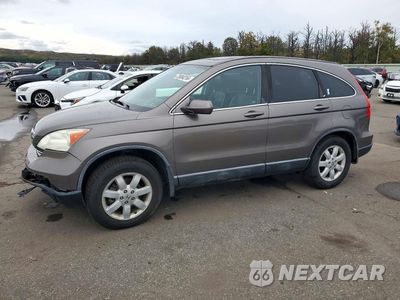 2009 HONDA CR-V EXL 5J6RE48709L054857 - główne zdjęcie licytacji z USA - miniatura