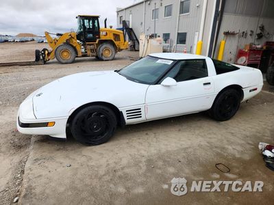 1993 CHEVROLET CORVETTE 1G1YY23P8P5101423 - główne zdjęcie licytacji z USA - miniatura
