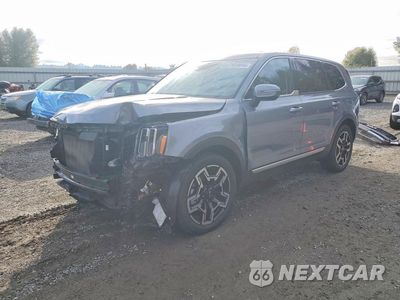 2024 KIA TELLURIDE LX 5XYP24GC3RG438714 - główne zdjęcie licytacji z USA - miniatura