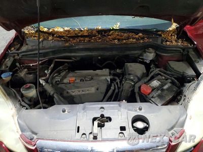 Zdjęcie 12 z 13 samochodu: 2008 HONDA CR-V EX VIN:3CZRE48558G701313 - miniatura