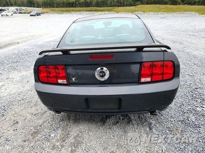 Zdjęcie 6 z 12 samochodu: 2007 FORD MUSTANG GT VIN:1ZVHT82H175215604 - miniatura