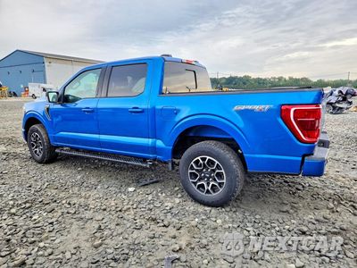 Drugie zdjęcie samochodu z przodu: 2021 FORD F150 SUPERCREW VIN:1FTFW1E54MKD13503 - miniatura