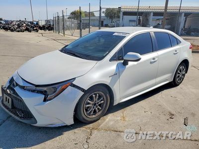 2020 TOYOTA COROLLA LE JTDEBRBE0LJ019059 - główne zdjęcie licytacji z USA - miniatura