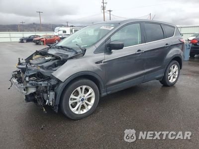 2017 FORD ESCAPE SE 1FMCU0G97HUA69628 - główne zdjęcie licytacji z USA - miniatura
