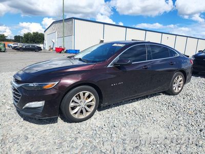 2020 CHEVROLET MALIBU LT 1G1ZD5ST3LF057304 - główne zdjęcie licytacji z USA - miniatura