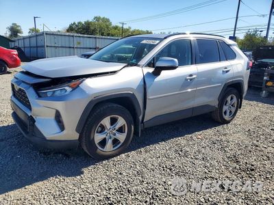 2020 TOYOTA RAV4 XLE JTMP1RFV8LJ027996 - główne zdjęcie licytacji z USA - miniatura