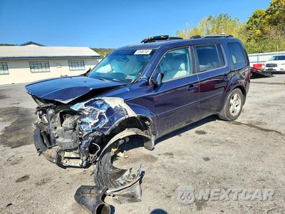 2010 HONDA PILOT EXL 5FNYF4H5XAB017657 - główne zdjęcie licytacji z USA - miniatura