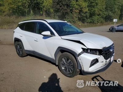 Czwarte zdjęcie samochodu z boku: 2024 HYUNDAI TUCSON BLUE VIN:KM8JBCD13RU195080 - miniatura