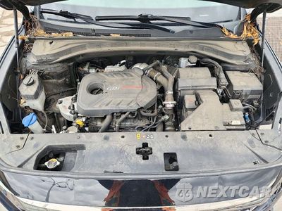 Zdjęcie 12 z 14 samochodu: 2019 HYUNDAI SANTA FE LIMITED 2.0T VIN:5NMS5CAA2KH136166 - miniatura