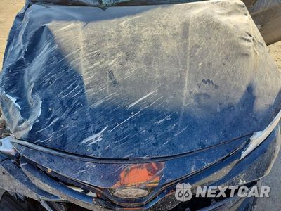 Zdjęcie 11 z 12 samochodu: 2019 TOYOTA CAMRY LE VIN:4T1B11HK5KU685864 - miniatura