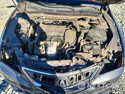 Zdjęcie 11 z 12 samochodu: 2016 ACURA TLX TECH VIN:19UUB1F54GA013442 - miniatura