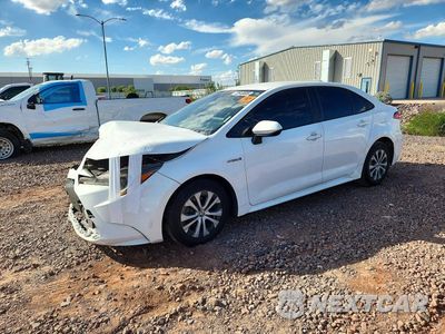 2020 TOYOTA COROLLA LE JTDEBRBE7LJ000234 - główne zdjęcie licytacji z USA - miniatura