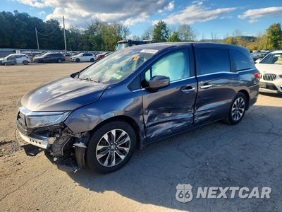 2024 HONDA ODYSSEY EXL 5FNRL6H65RB053950 - główne zdjęcie licytacji z USA - miniatura